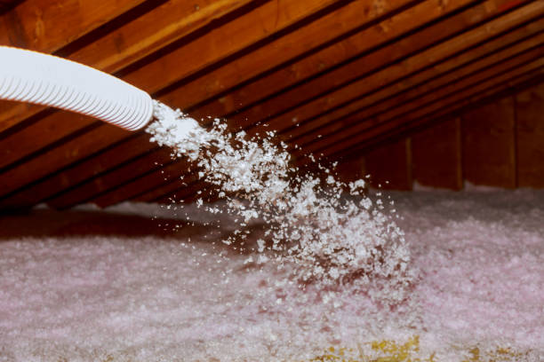 Best Insulation Maintenance and Repair in Rio, WI